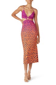 Printed Rogue Dress by AFRM