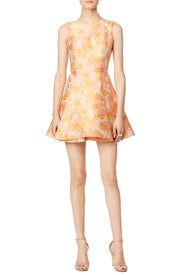 Orange in Bloom Dress by Cynthia Rowley