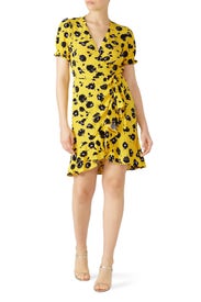 Emilia Wrap Dress by Diane von Furstenberg