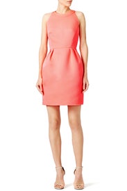 Bow Back Cupcake Dress by kate spade new york