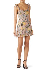 Christine Dress by Reformation