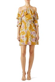 Floral Fonda Dress by cupcakes and cashmere