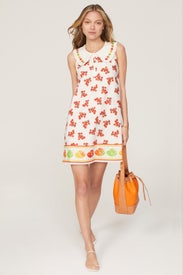 Tanya Dress by Rachel Antonoff