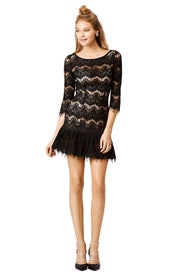 Fluttering Lace Sheath by Tracy Reese