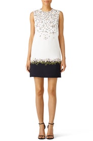 Fresh Flower Printed Shift Dress by Giambattista Valli