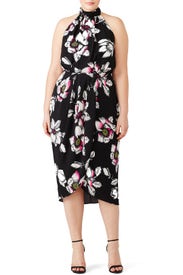 Born Romantic Dress by City Chic