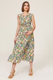 Isadora Maternity Dress by Isabella Oliver