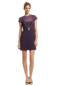 Rustic Plum Lace Dress by Nanette Lepore