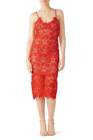 Tayla Dress by Bardot