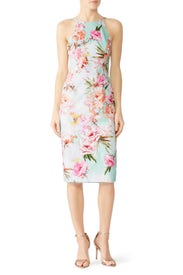 Montego Sheath by Black Halo