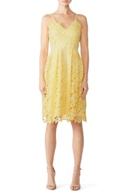 Yellow Floral Lace Dress by Slate & Willow