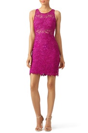 Mulberry Lace Sheath Dress by ML Monique Lhuillier