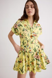 Nash Mini Dress by Cara Cara New York