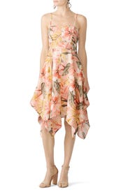 Floral Phara Dress by Joie