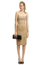 Countryside Corset Dress by Chris Benz