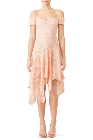 Lace Scarf Dress by Nicole Miller