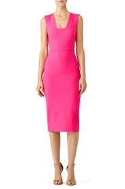 Fuschia Pink Sheath Dress by Antonio Berardi