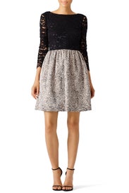 Black Lace Polly Dress by ERIN erin fetherston