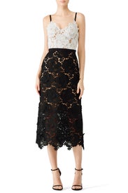 Lace Frida Dress by CATHERINE DEANE