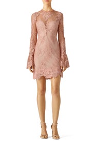 Pink Leondra Dress by Saylor