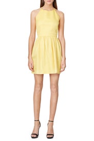 Sunny Day Dress by Contrarian