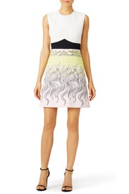 Retro Floral Dress by Giambattista Valli