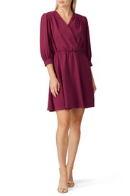 Alisa Dress by Amanda Uprichard