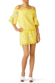 Yellow Lace Kit Dress by Alexis