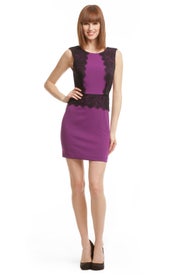 Iris Lace Sheath by Jay Godfrey