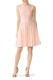Vellia Dress by Ted Baker