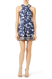 Twist and Shout Dress by Twelfth Street by Cynthia Vincent