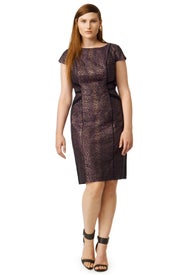 Hit the Spot Sheath by Adrianna Papell