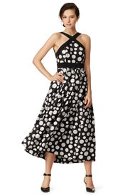 Kusama Dress by Jill Jill Stuart