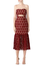 Burgundy Lace Sheath by Slate & Willow