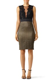 Gold Midnight Sheath by Theia