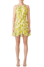 Floral Andrea Dress by Marissa Webb