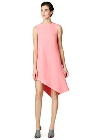 Tea Rose Shift by Narciso Rodriguez