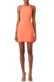 Papaya Benioff Dress by Jay Godfrey