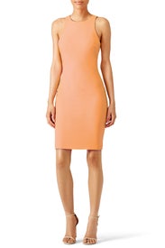 Orange Kenna Dress by Elizabeth and James