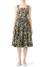 Citrus Full Skirt Dress by Marni