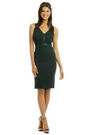 Little Green Dress by David Meister