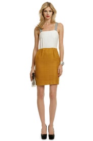 Tigerlilly Apron Dress by Proenza Schouler