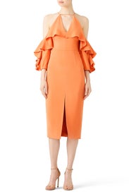 Papaya Aura Dress by Cushnie