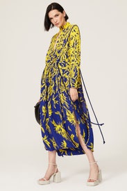 Degrade Floral Long Sleeve Dress by Proenza Schouler