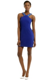 Daisy Chain Sheath by Matthew Williamson