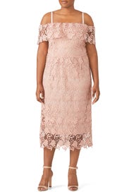 Ballet Pink Lace Sheath by City Chic
