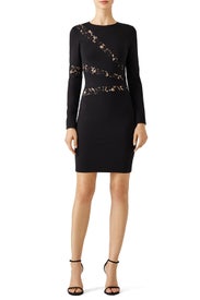 Black Illusion Lace Cutout Sheath by Ali & Jay