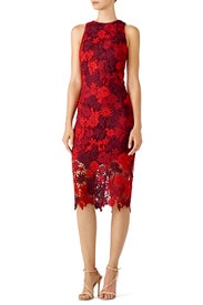Red Floral Lace Sheath by Alexia Admor