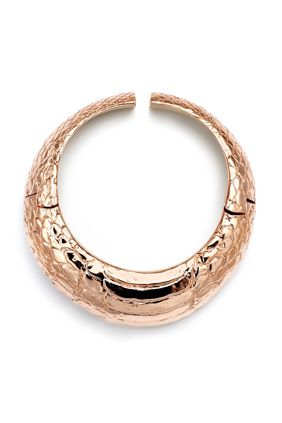 Reptile Choker by Cedric Charlier