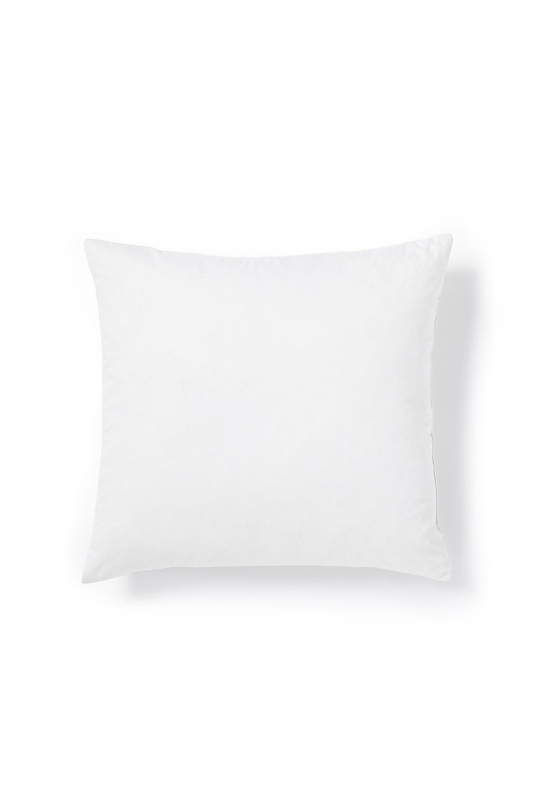 20x20 Decorative Pillow Insert by West Elm